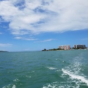 Meet your Posher, Myrta